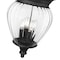 Z-Lite Davina 4 Light Outdoor Chain Mount Ceiling Fixture, 12in. W x 23.75in. H, Black 5016CHB-BK - alternate 3